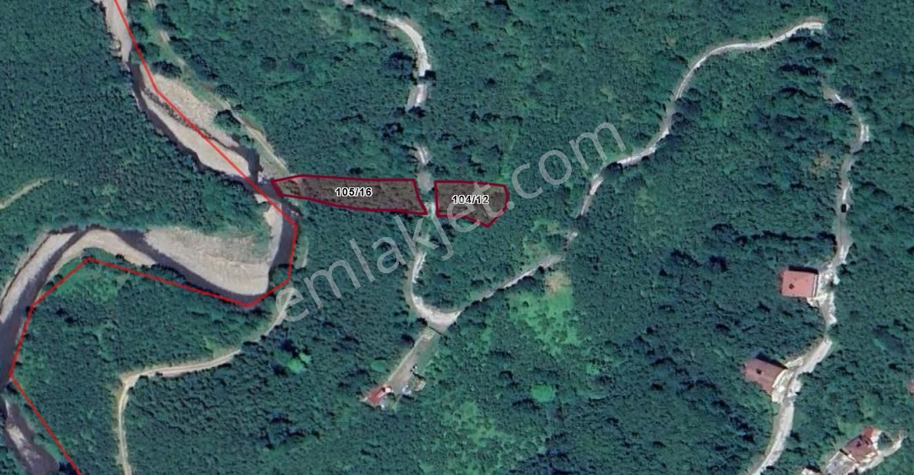 Ordu Perşembe Yalıköy Mevkiinde Satılık Fındık Bahçesi