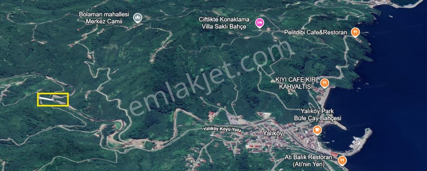 Ordu Perşembe Yalıköy Mevkiinde Satılık Fındık Bahçesi - Görsel 2
