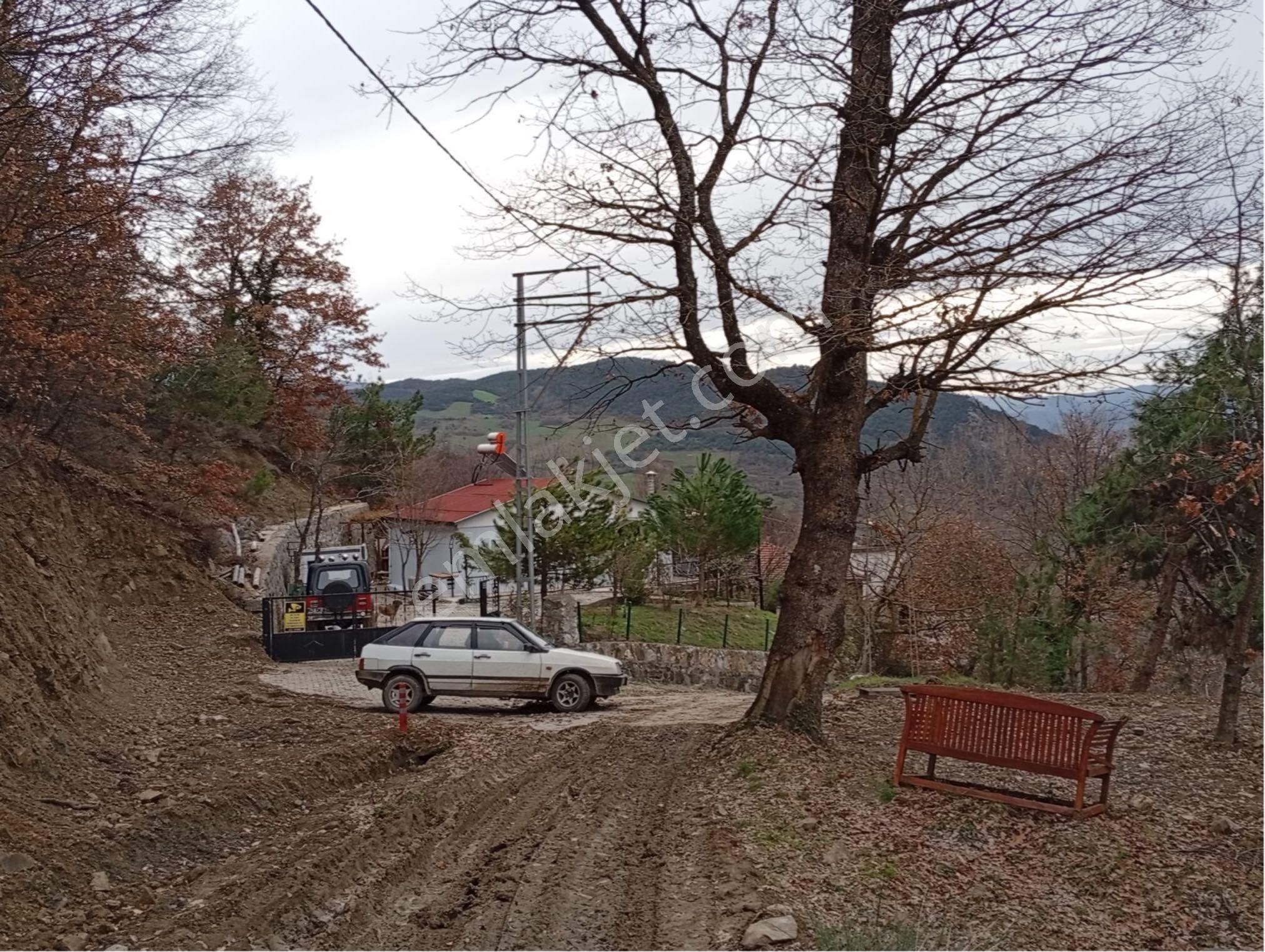 Sakarya / Geyve Menekşesolak’ta Yola Cepheli, İçinde, Manzaralı 1229 M² Arsa - Görsel 2