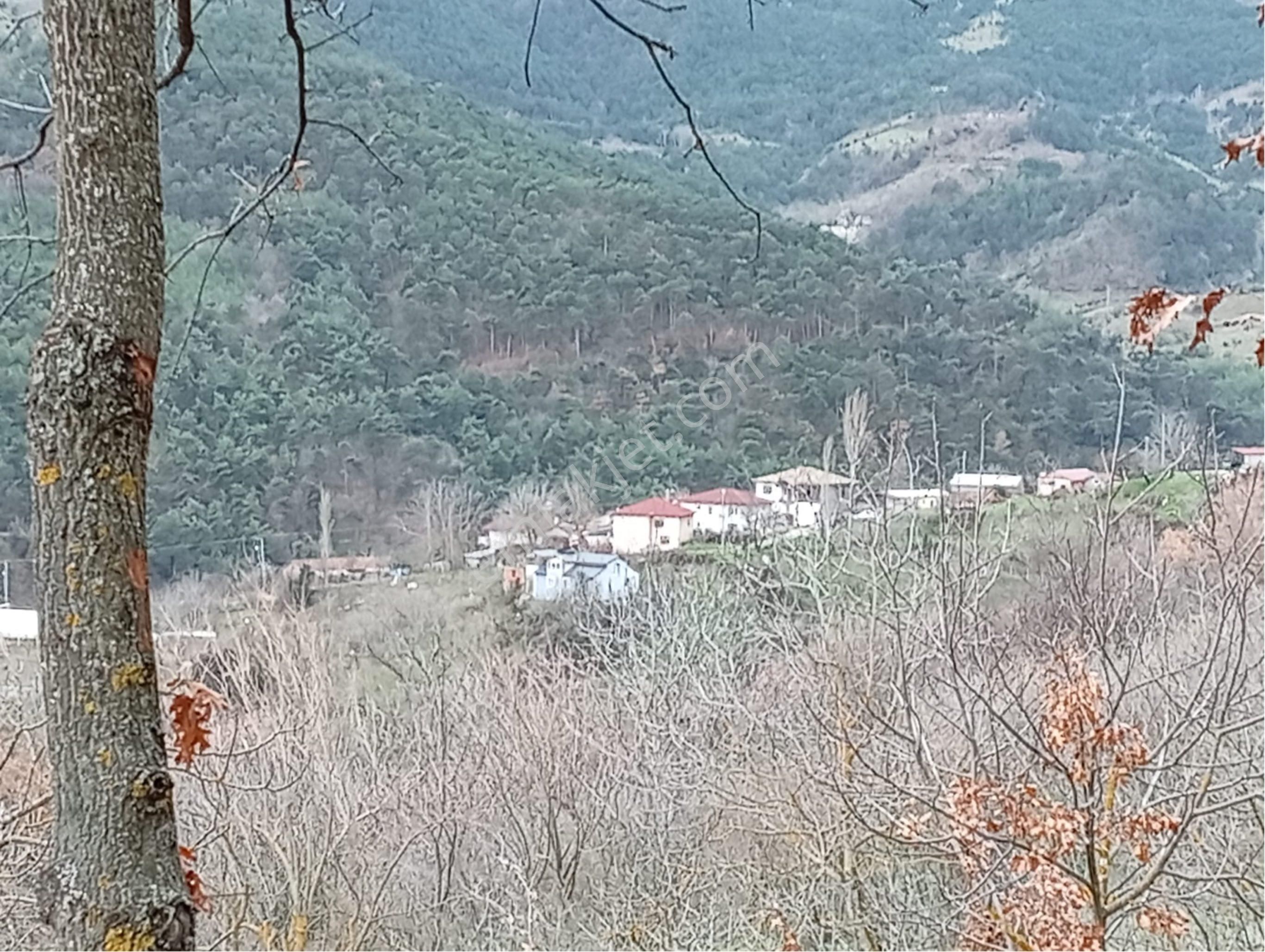 Sakarya / Geyve Menekşesolak’ta Yola Cepheli, İçinde, Manzaralı 1229 M² Arsa - Görsel 7