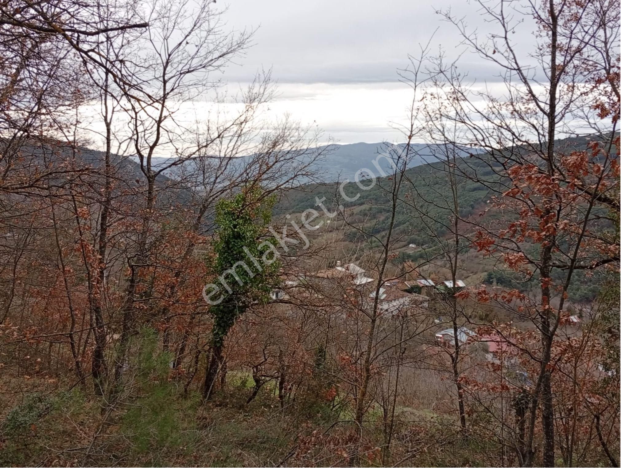 Sakarya / Geyve Menekşesolak’ta Yola Cepheli, İçinde, Manzaralı 1229 M² Arsa - Görsel 5