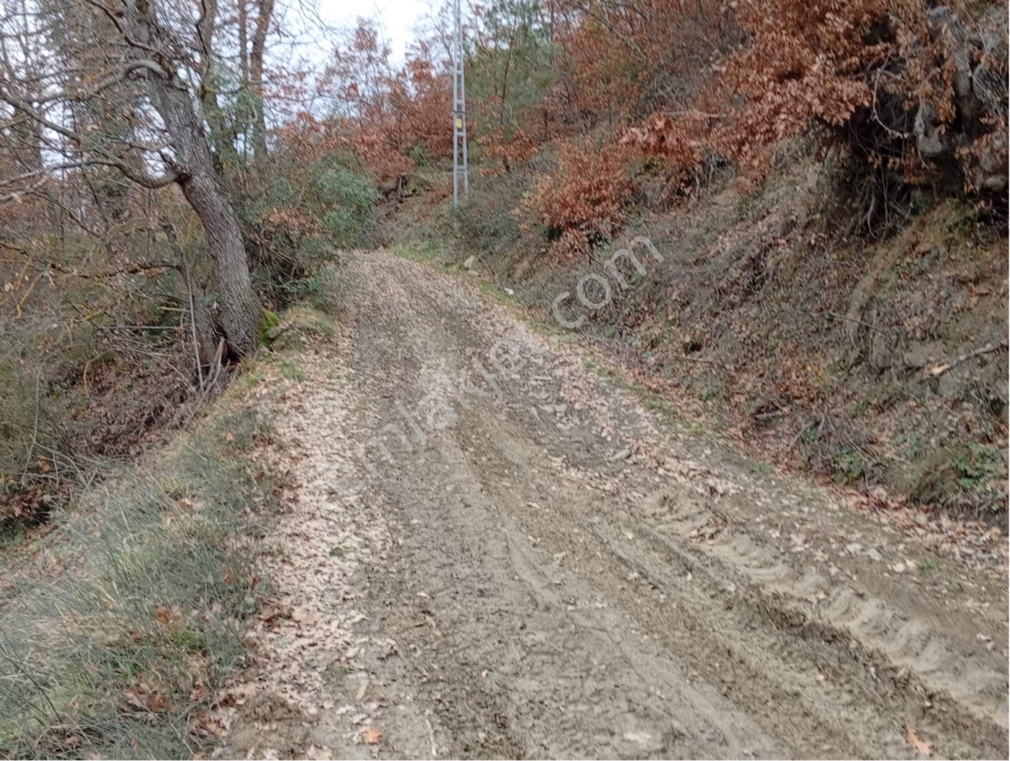 Sakarya / Geyve Menekşesolak’ta Yola Cepheli, İçinde, Manzaralı 1229 M² Arsa - Görsel 9