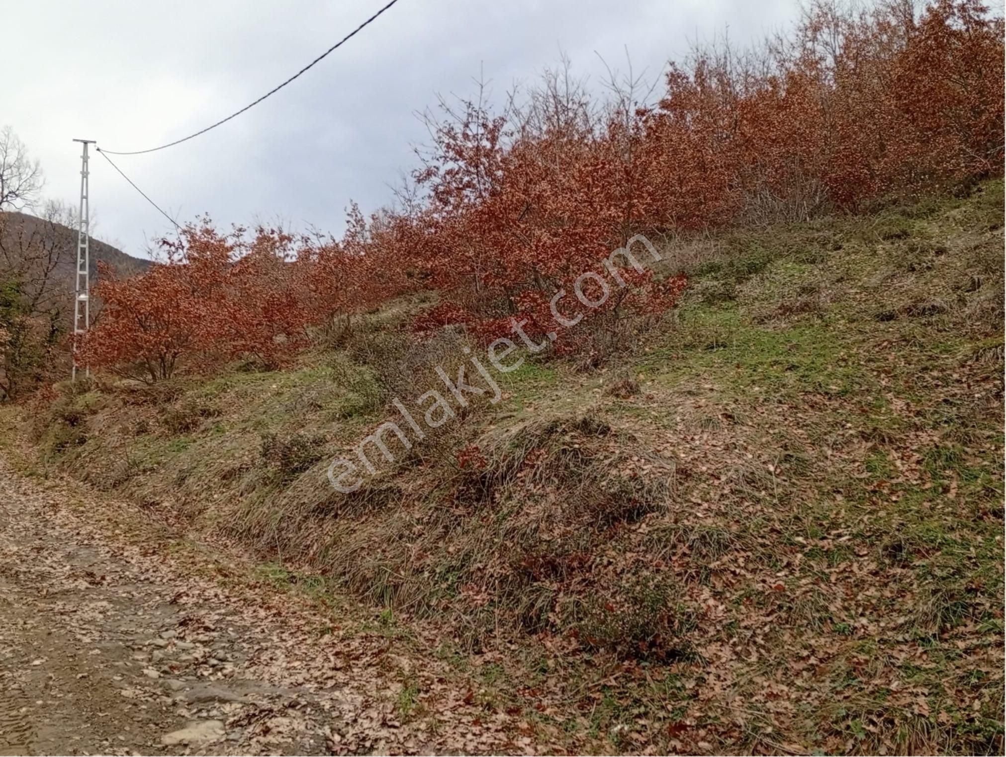 Sakarya / Geyve Menekşesolak’ta Yola Cepheli, İçinde, Manzaralı 1229 M² Arsa - Görsel 11