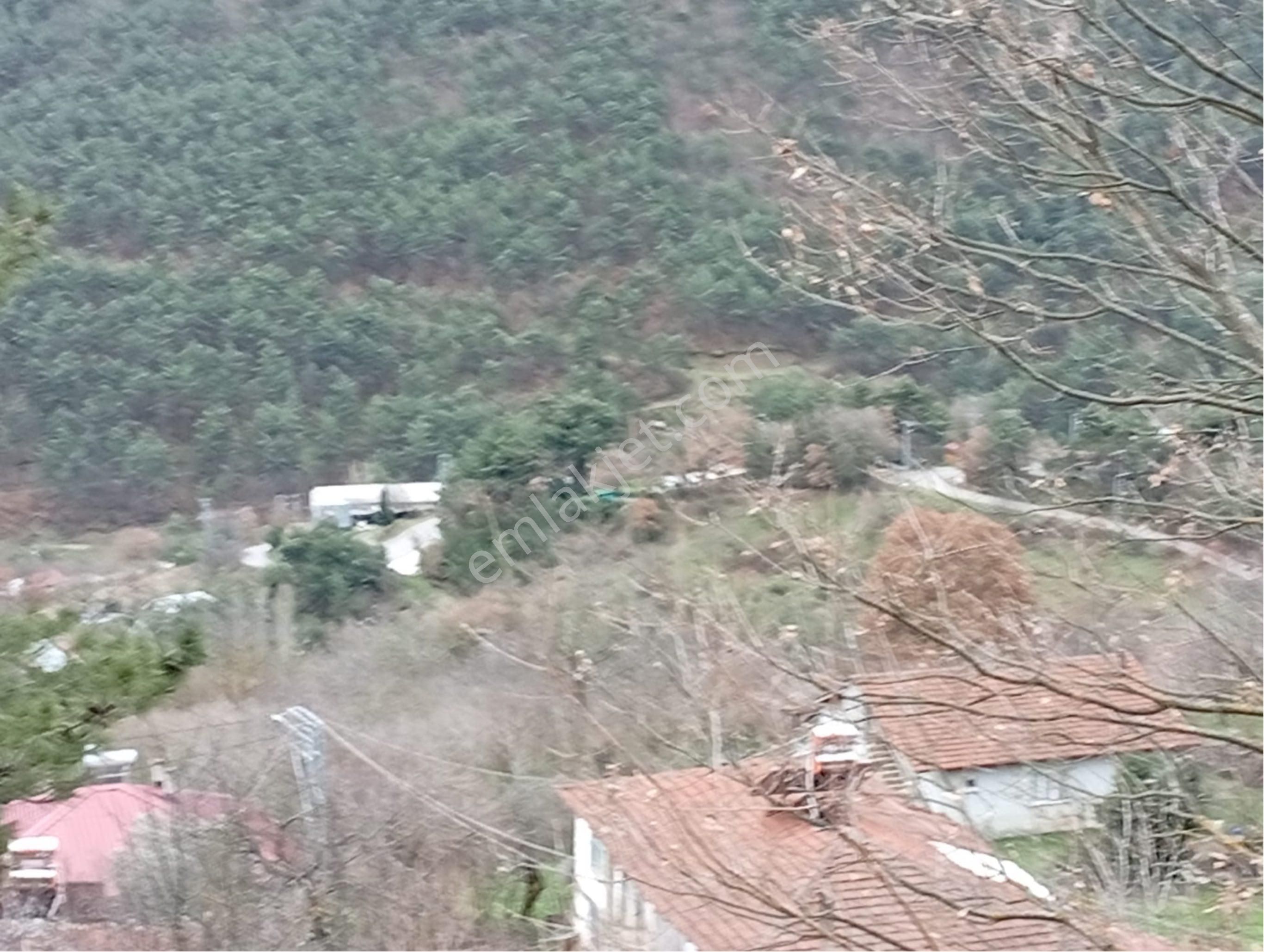 Sakarya / Geyve Menekşesolak’ta Yola Cepheli, İçinde, Manzaralı 1229 M² Arsa - Görsel 8