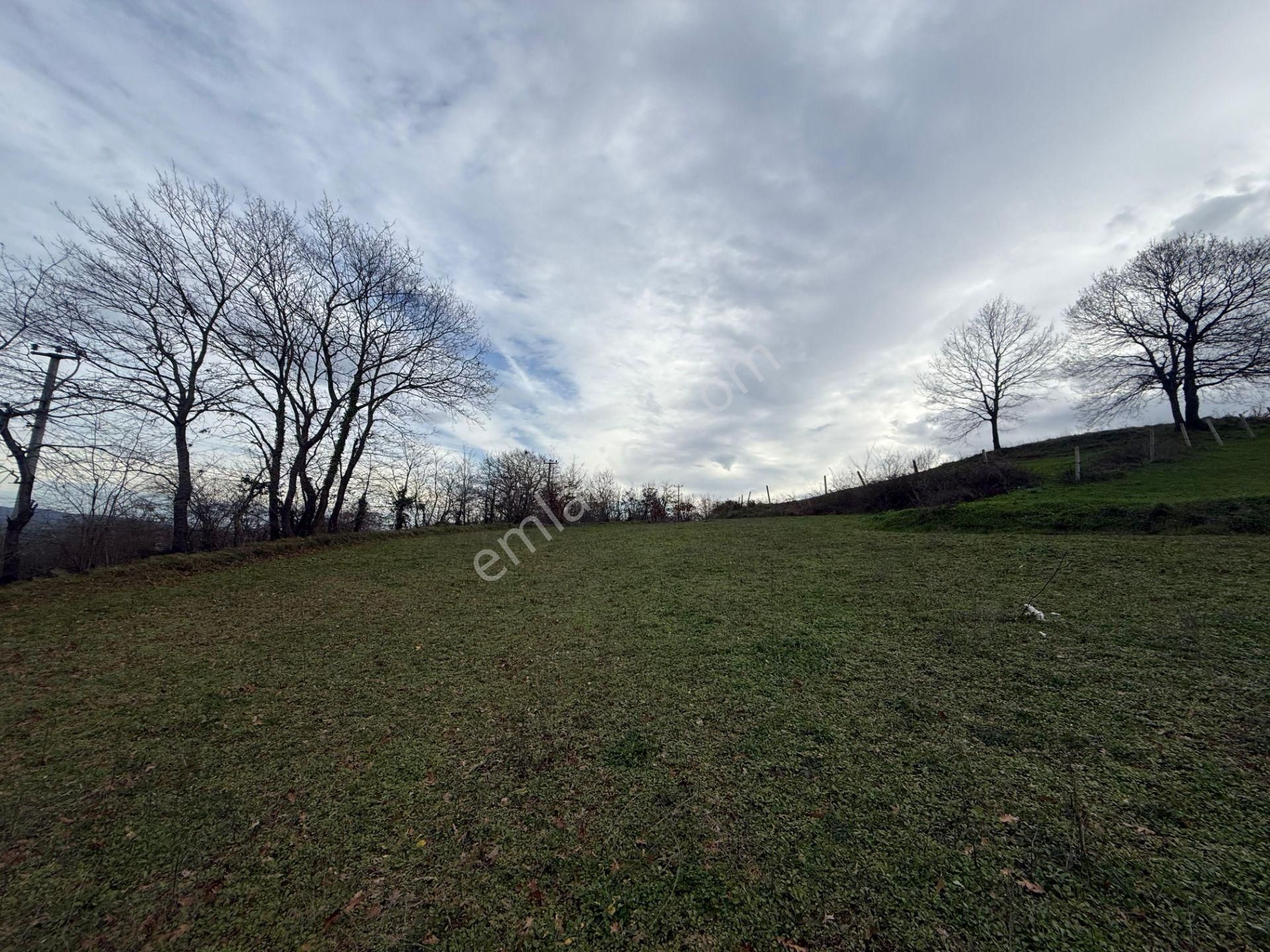 Sakarya Adapazarı Kayrancık Mah. Cadde Üstü Satılık Tarla - Görsel 6