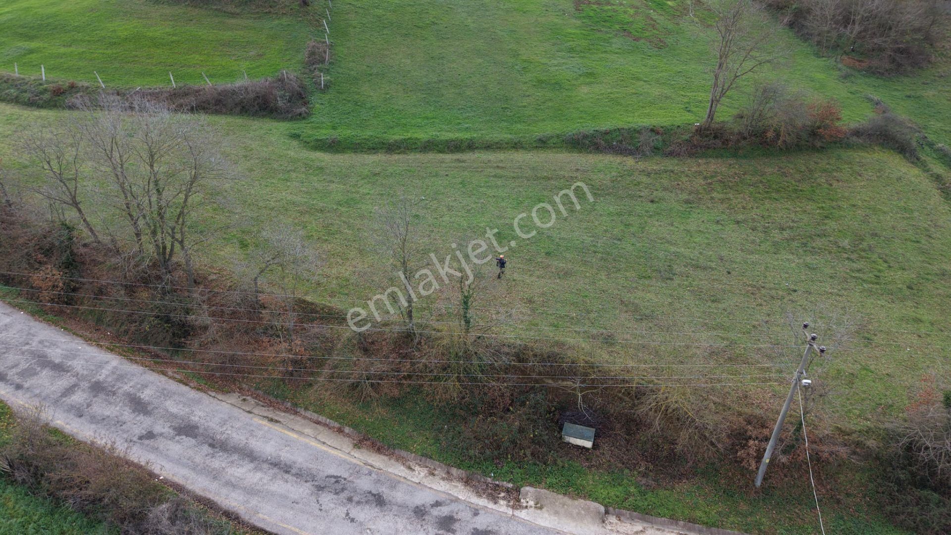 Sakarya Adapazarı Kayrancık Mah. Cadde Üstü Satılık Tarla