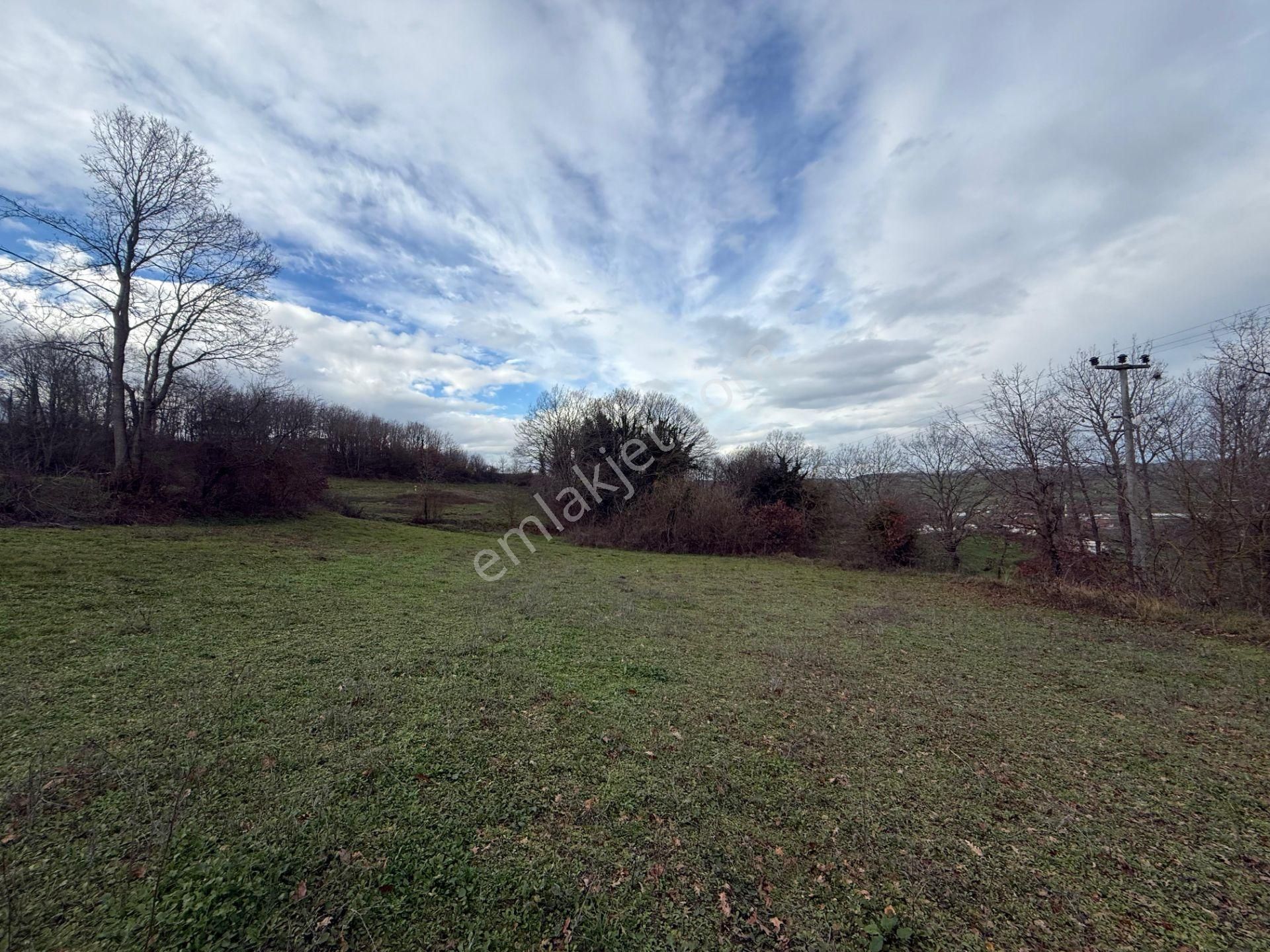 Sakarya Adapazarı Kayrancık Mah. Cadde Üstü Satılık Tarla - Görsel 5