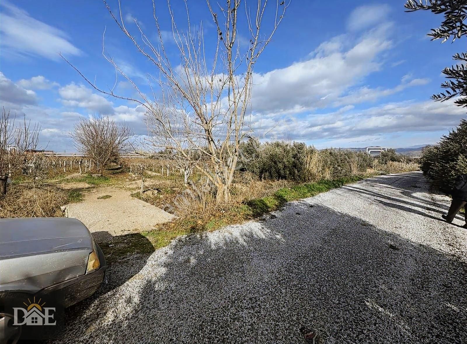 Doğuş Emlak'ta Şehire Yakın Bağ - Görsel 4