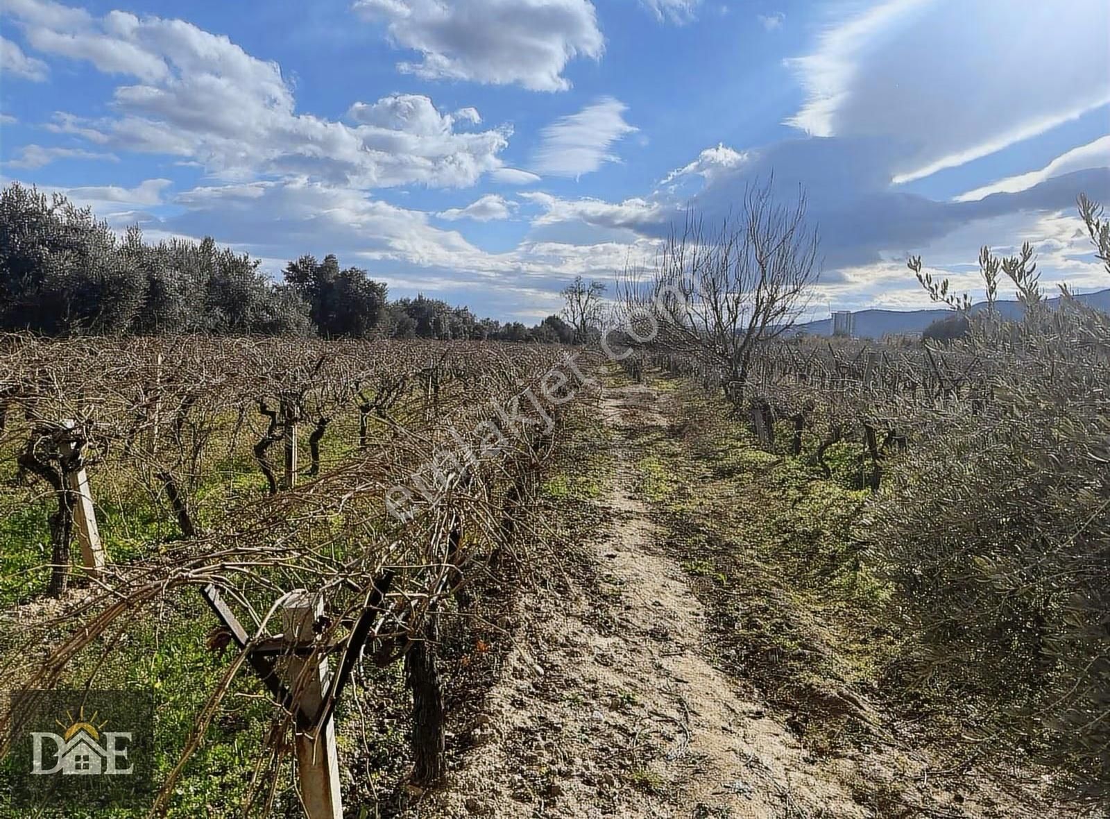 Doğuş Emlak'ta Şehire Yakın Bağ - Görsel 10