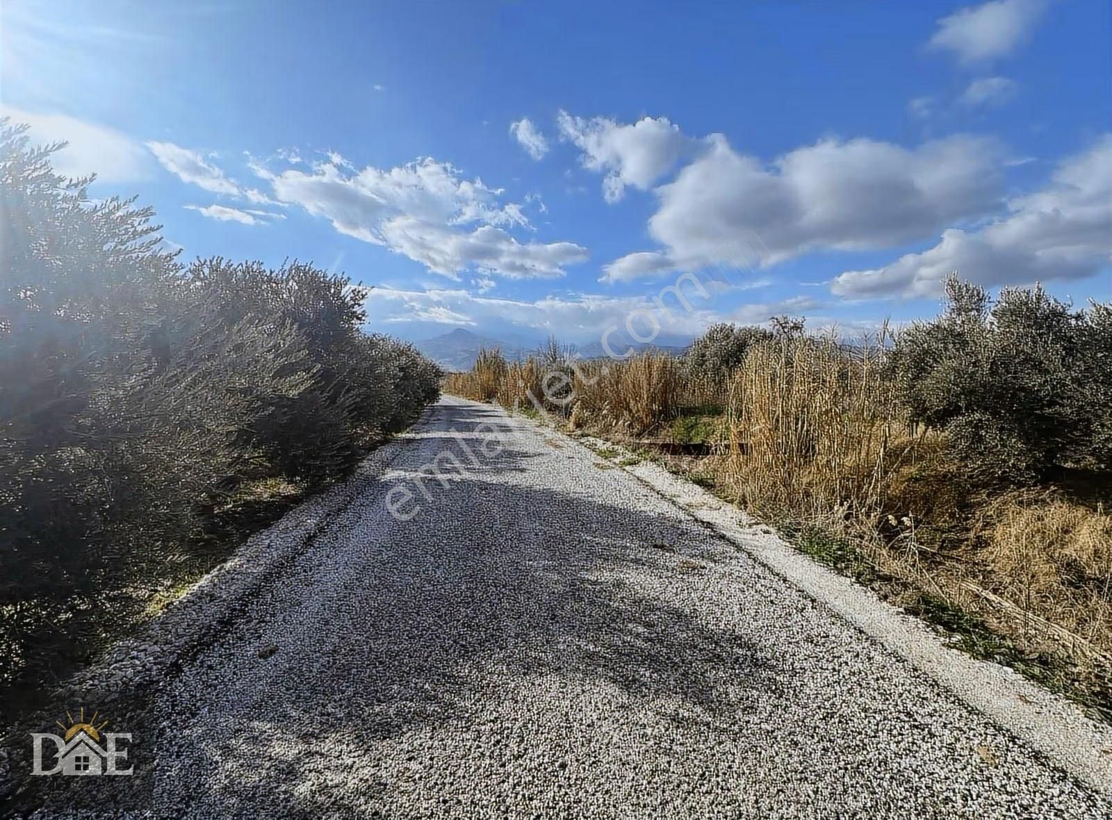 Doğuş Emlak'ta Şehire Yakın Bağ