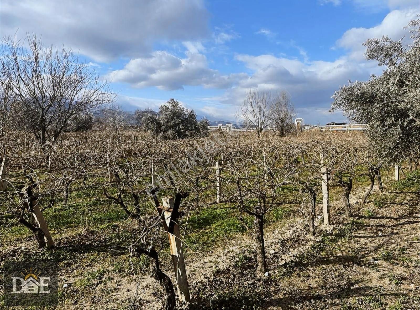 Doğuş Emlak'ta Şehire Yakın Bağ - Görsel 11
