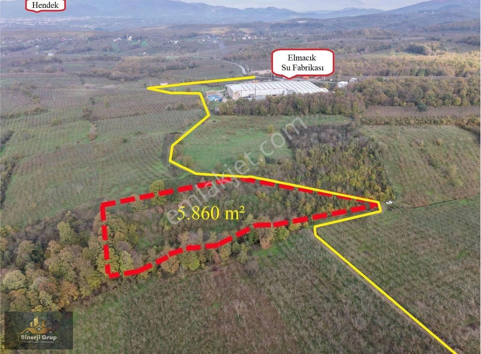 Siner Gayrimenkul Satılık 5.8 Dönüm Fındıklık