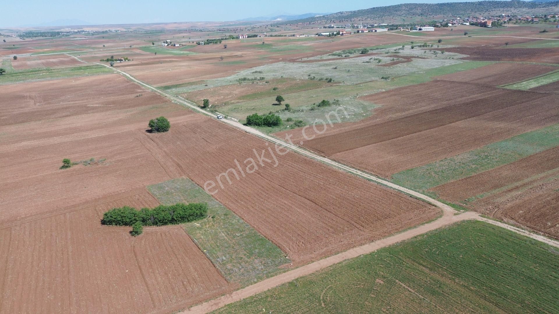 Akören Tülce De 2.296 M2 Müstakil Tapulu Arazi - Görsel 2
