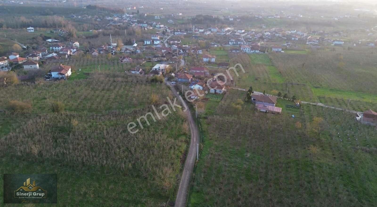 Kazimiye Mahallesin'nde 2.130 M2 Satılık Fındıklık - Görsel 4