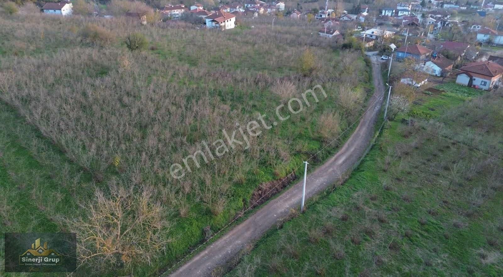 Kazimiye Mahallesin'nde 2.130 M2 Satılık Fındıklık - Görsel 9