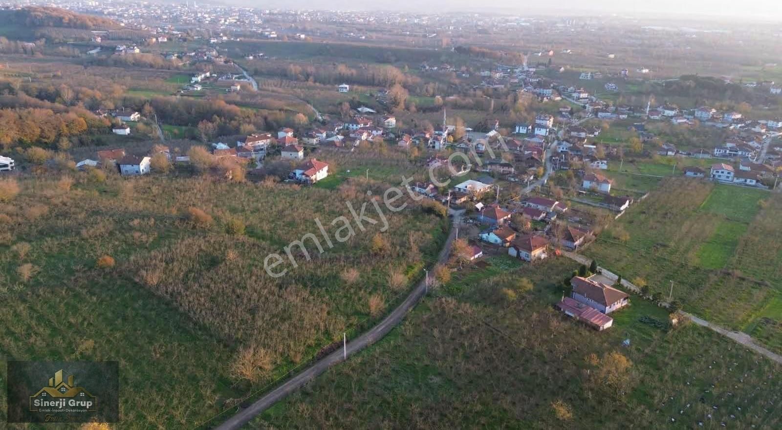 Kazimiye Mahallesin'nde 2.130 M2 Satılık Fındıklık - Görsel 8