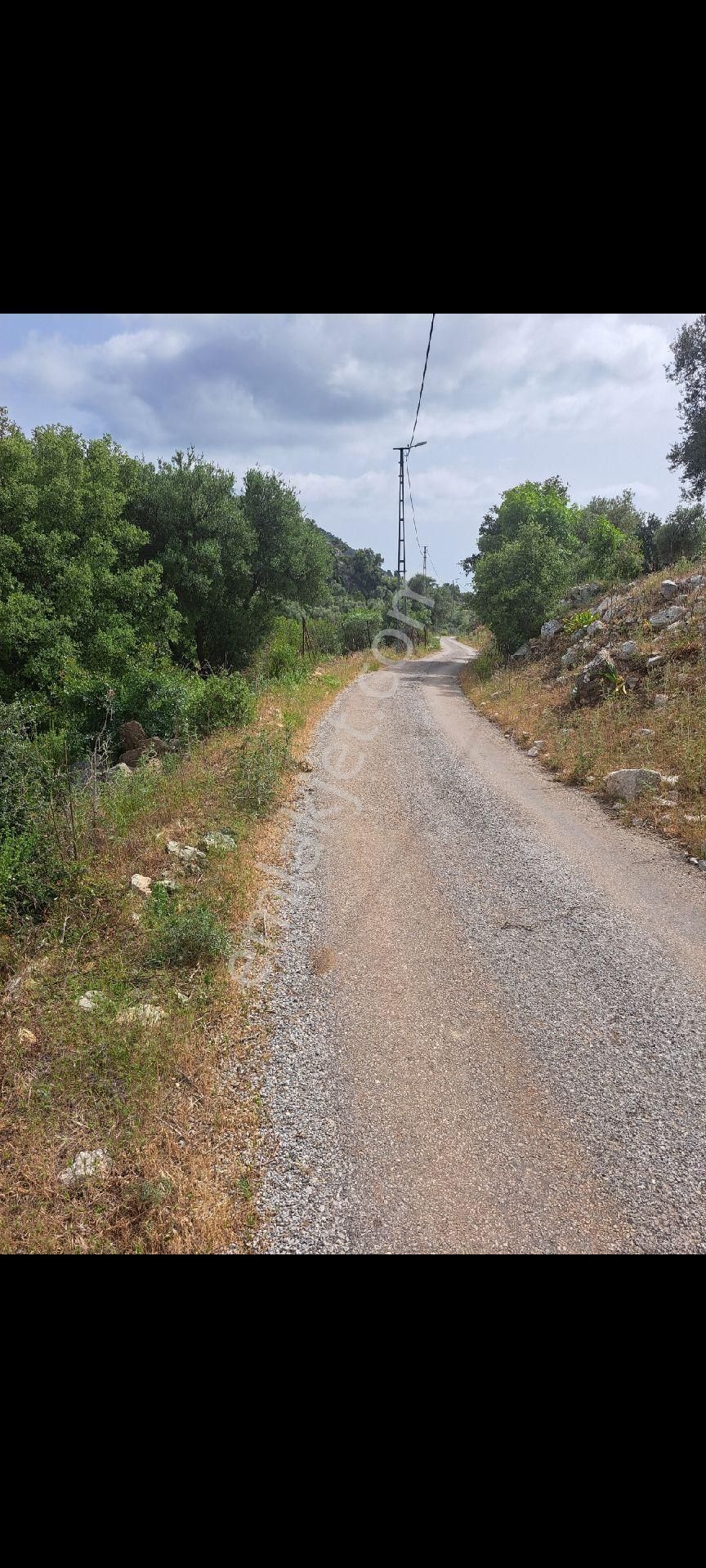 Dalaman Kızılkaya Köyünde Satılık Tarla - Görsel 2