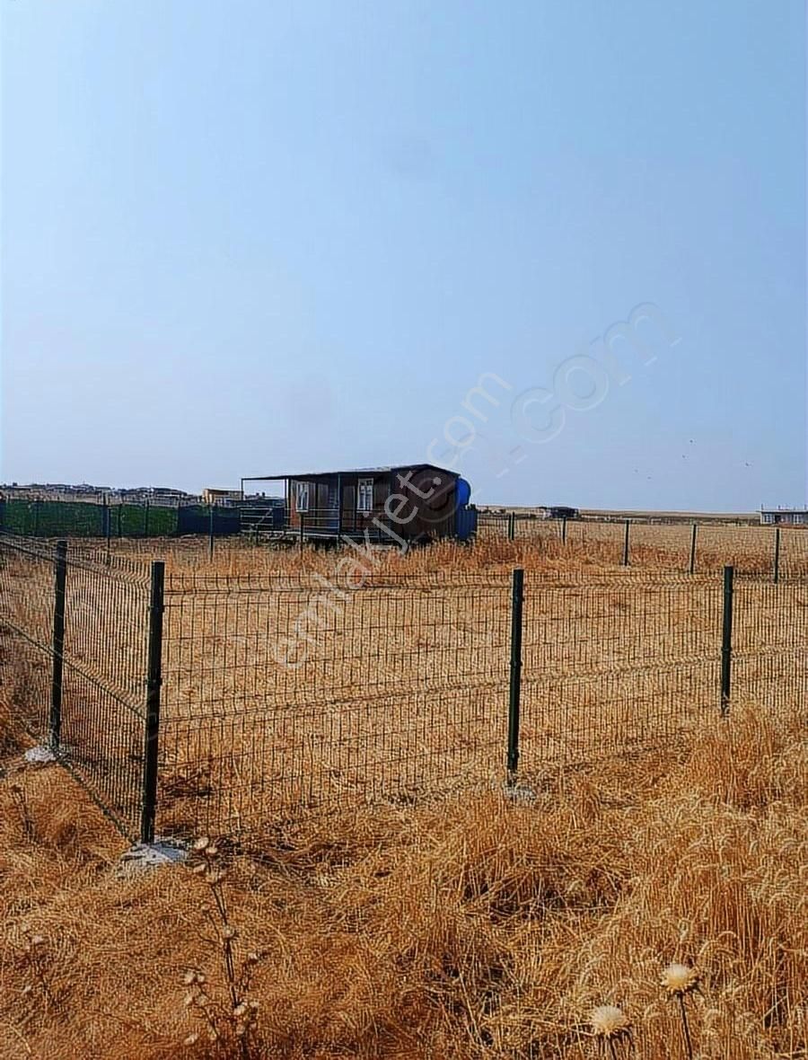 Tekirdağ Marmara Ereğlisi Bahçelievler Kelepir Hoby Bahçesi - Görsel 7