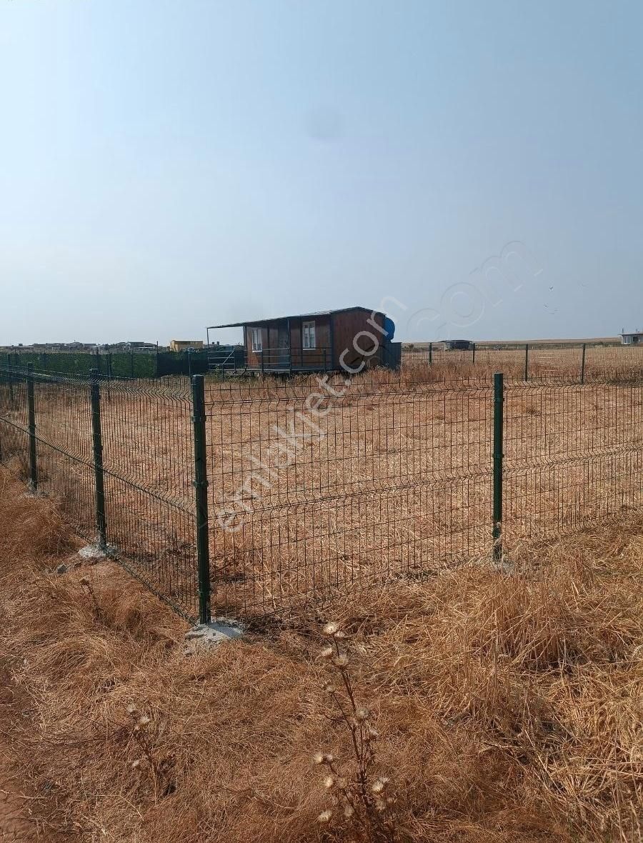 Tekirdağ Marmara Ereğlisi Bahçelievler Kelepir Hoby Bahçesi - Görsel 3