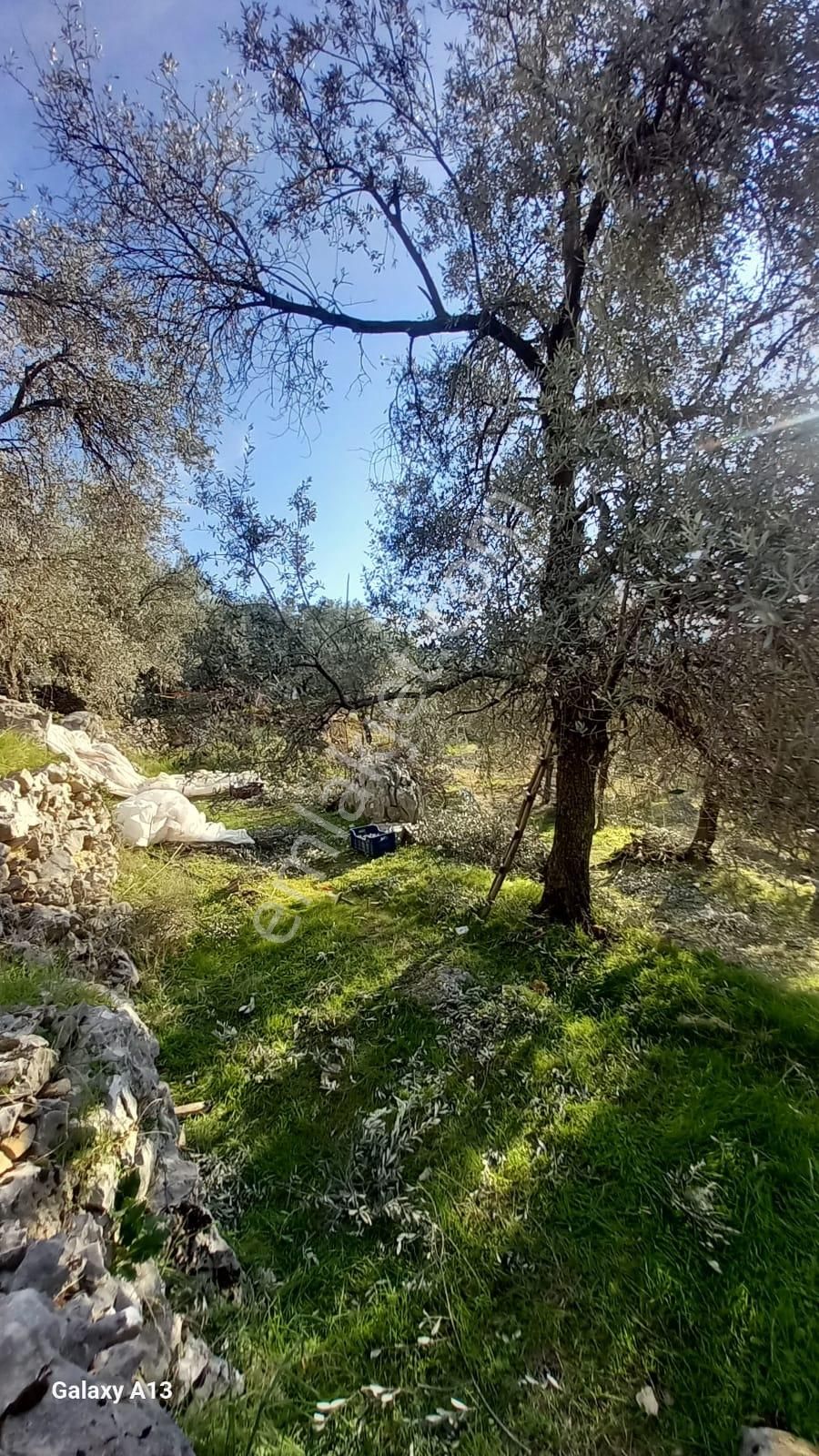 Stop’tan Seydikemer Arsa’da 3692m² Arazi - Görsel 8