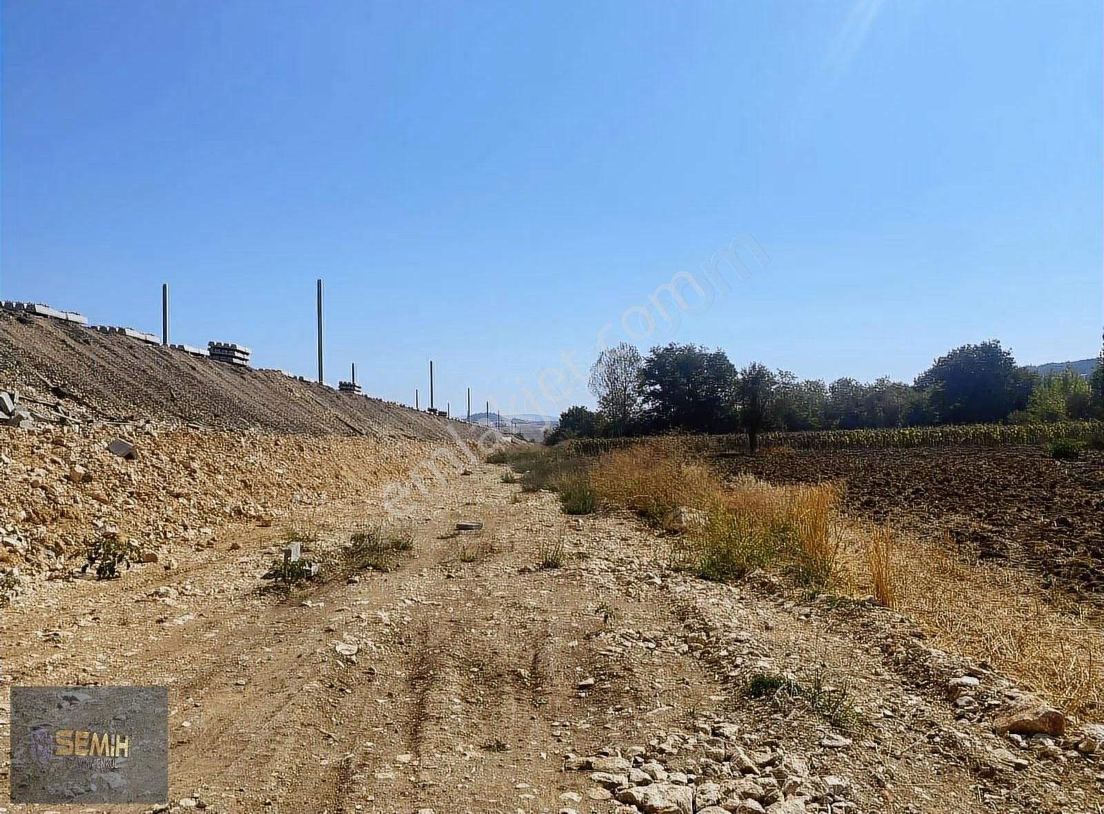 Semih'den Papatyada Yol Su Hızlı Tren Yanı Hobi Bahçesi - Görsel 6
