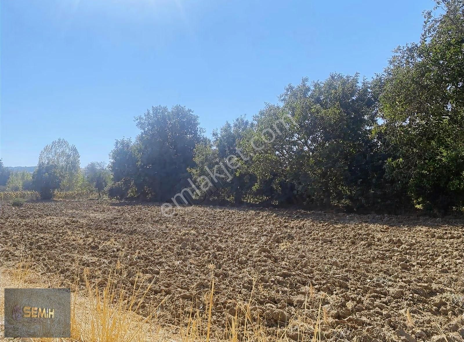 Semih'den Papatyada Yol Su Hızlı Tren Yanı Hobi Bahçesi - Görsel 15