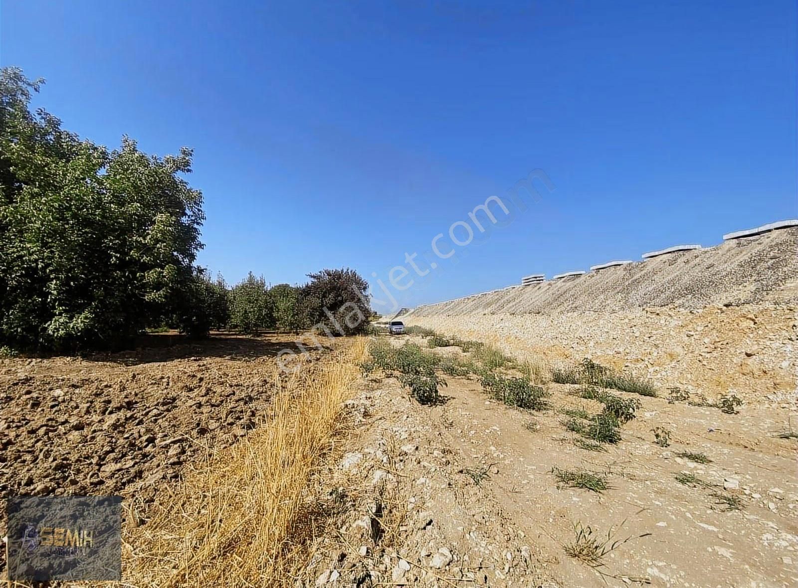 Semih'den Papatyada Yol Su Hızlı Tren Yanı Hobi Bahçesi - Görsel 12