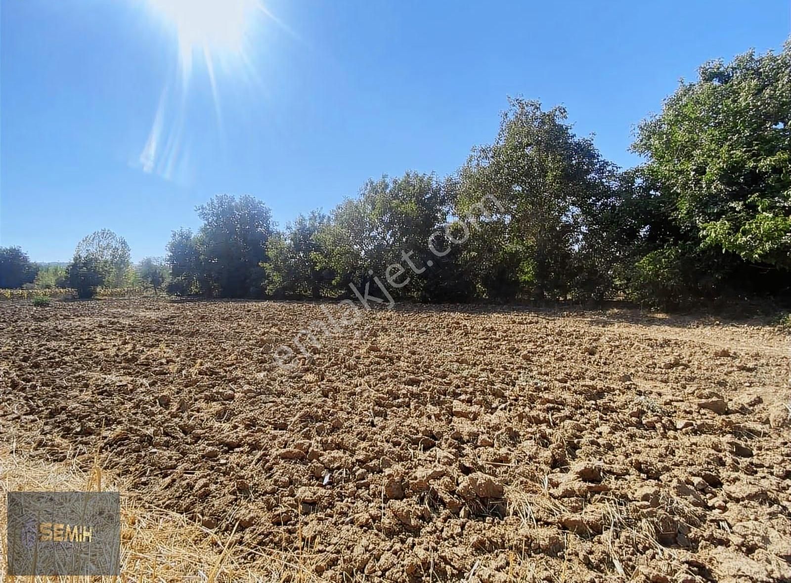 Semih'den Papatyada Yol Su Hızlı Tren Yanı Hobi Bahçesi - Görsel 10