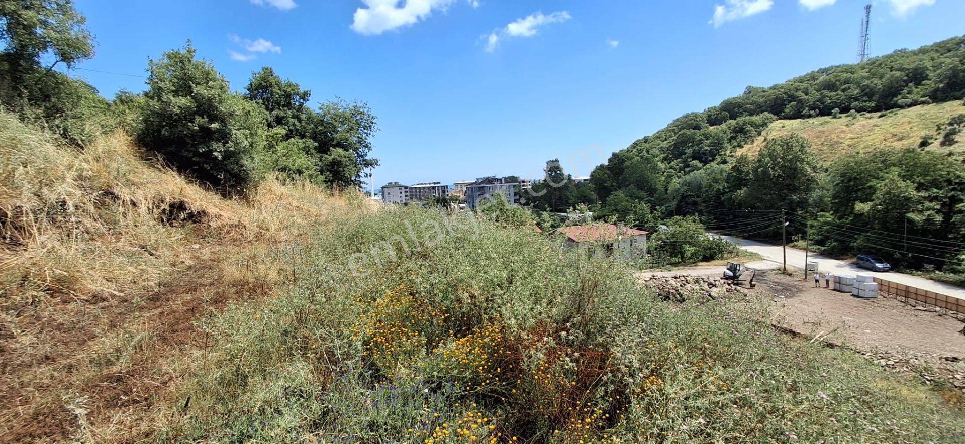 Akgün Kurumsal'dan Taflan'da Kat Karşılığı Arsa - Görsel 3