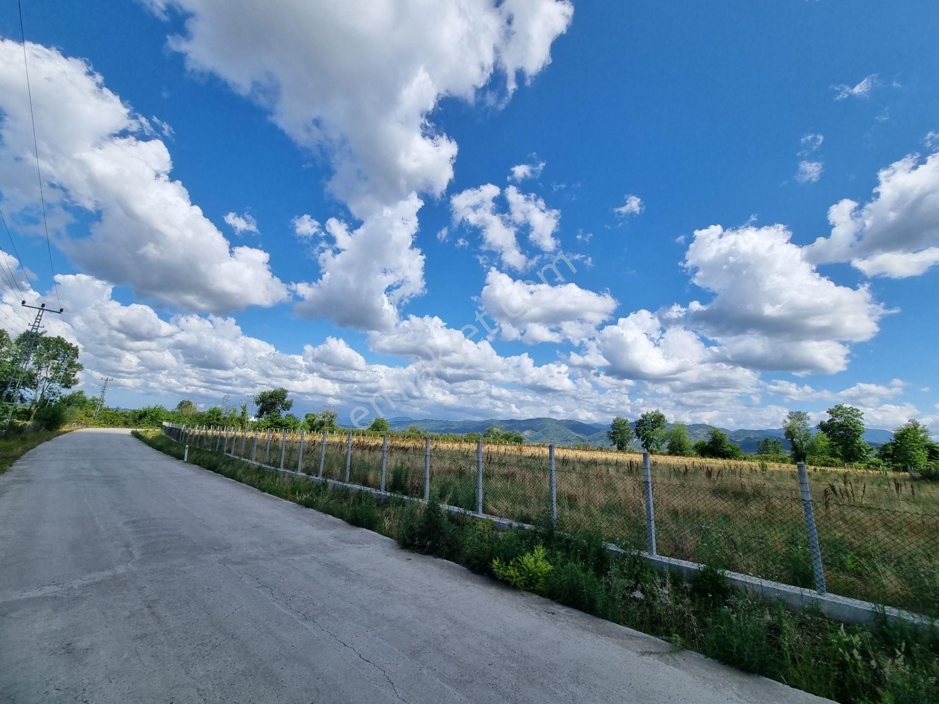 Akgün Kurumsal'dan Çarşamba Gökçeli'de Satılık Arsa - Görsel 10