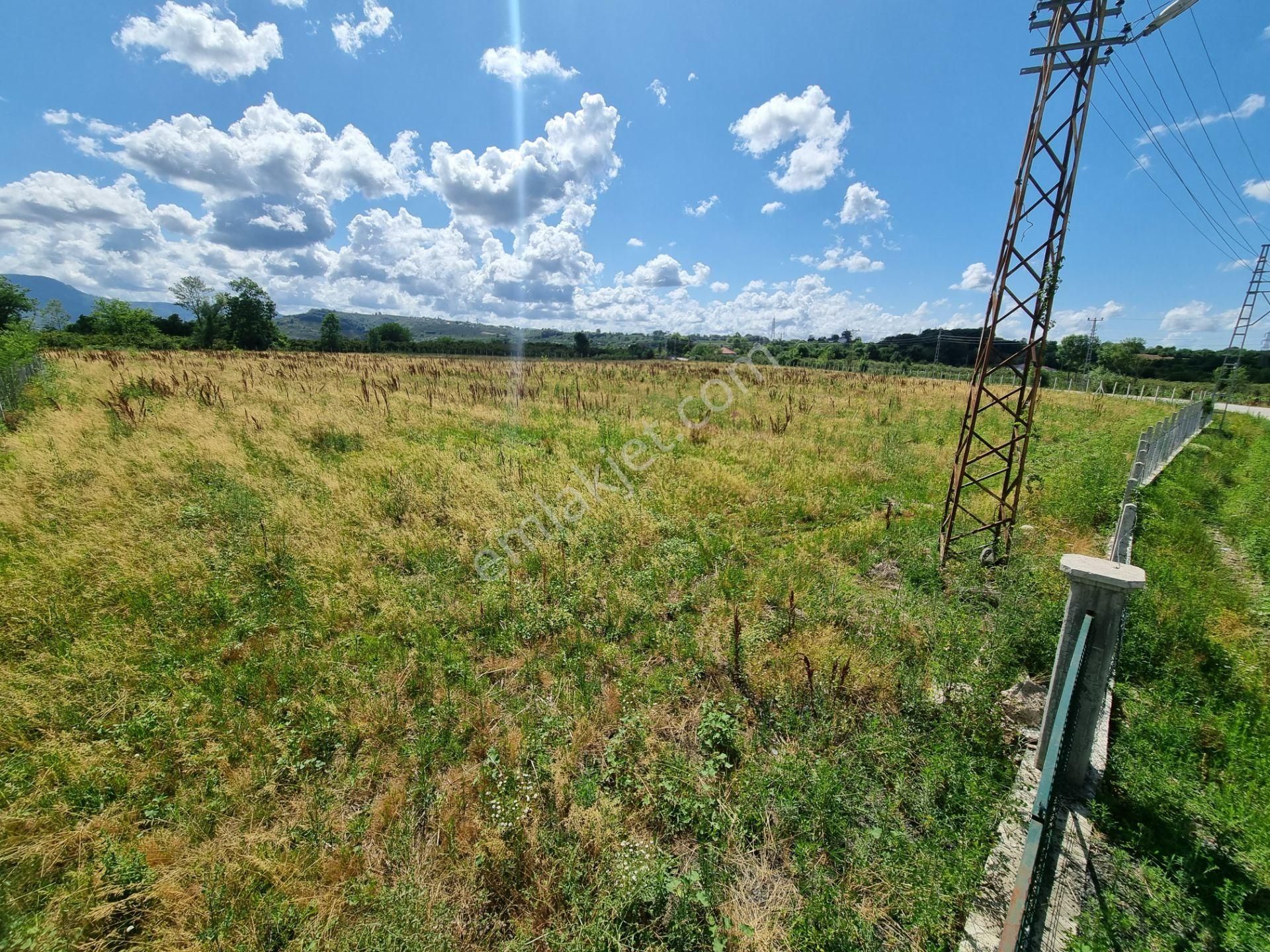 Akgün Kurumsal'dan Çarşamba Gökçeli'de Satılık Arsa - Görsel 2