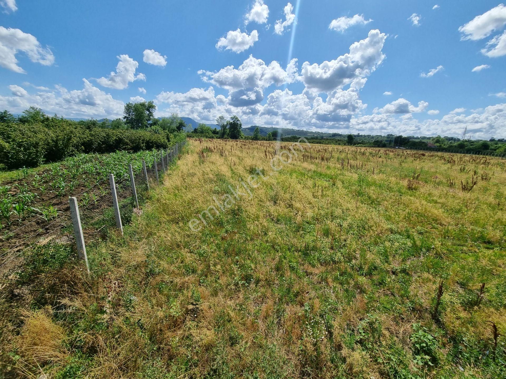Akgün Kurumsal'dan Çarşamba Gökçeli'de Satılık Arsa - Görsel 16