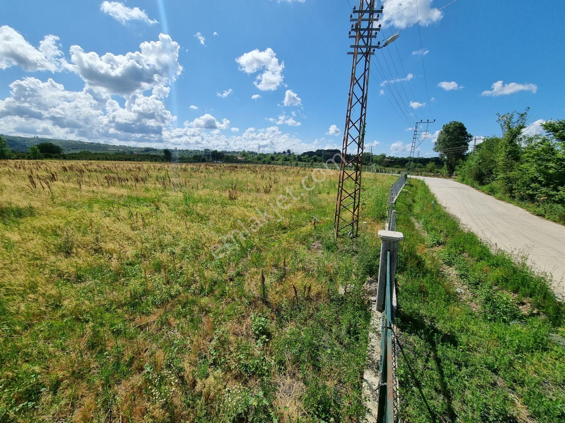 Akgün Kurumsal'dan Çarşamba Gökçeli'de Satılık Arsa - Görsel 19