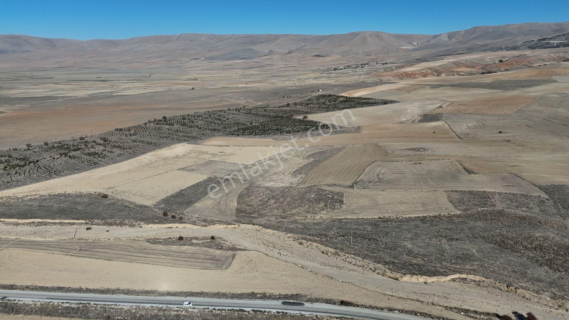 Konya / Ilgın / Dere Mahallesinde 1.405 M² Müstakil Tapulu Tarla - Görsel 6