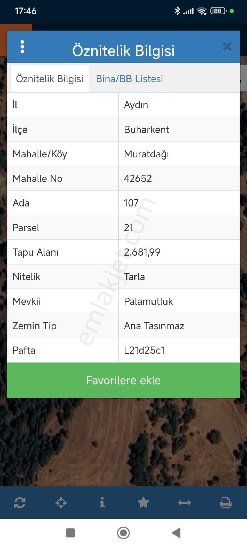 Aydın Buharkent Satılık Bahçe - Görsel 6