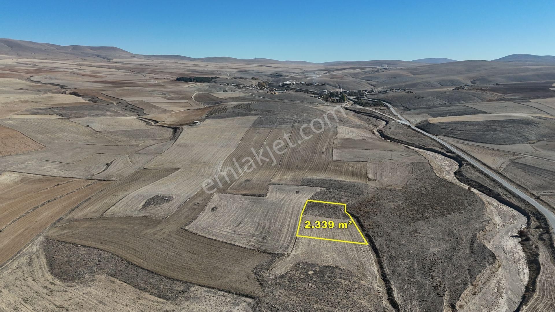 Konya / Ilgın / Dere Mahallesinde 2.339 M² Müstakil Tapulu Tarla - Görsel 3