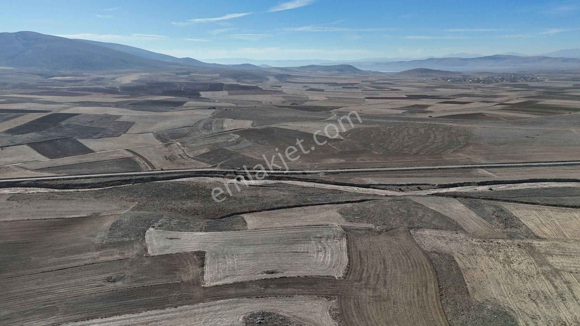 Konya / Ilgın / Dere Mahallesinde 2.339 M² Müstakil Tapulu Tarla - Görsel 7