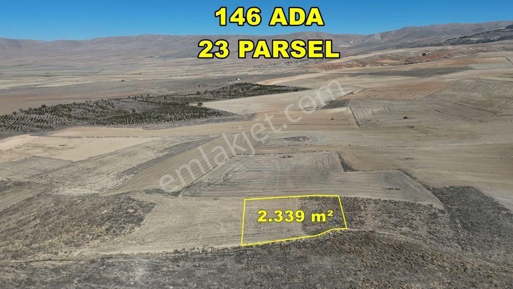 Konya / Ilgın / Dere Mahallesinde 2.339 M² Müstakil Tapulu Tarla