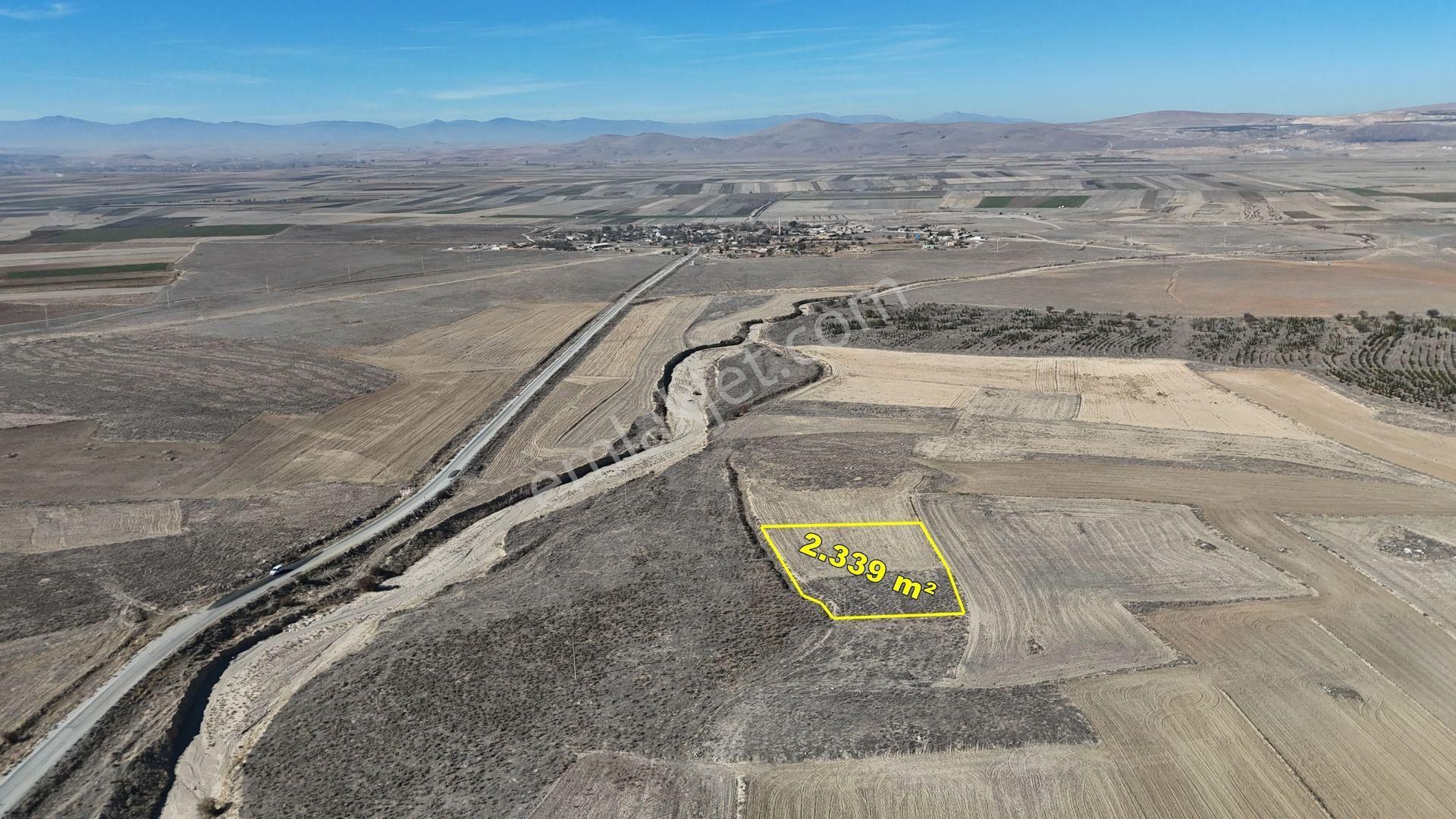 Konya / Ilgın / Dere Mahallesinde 2.339 M² Müstakil Tapulu Tarla - Görsel 4