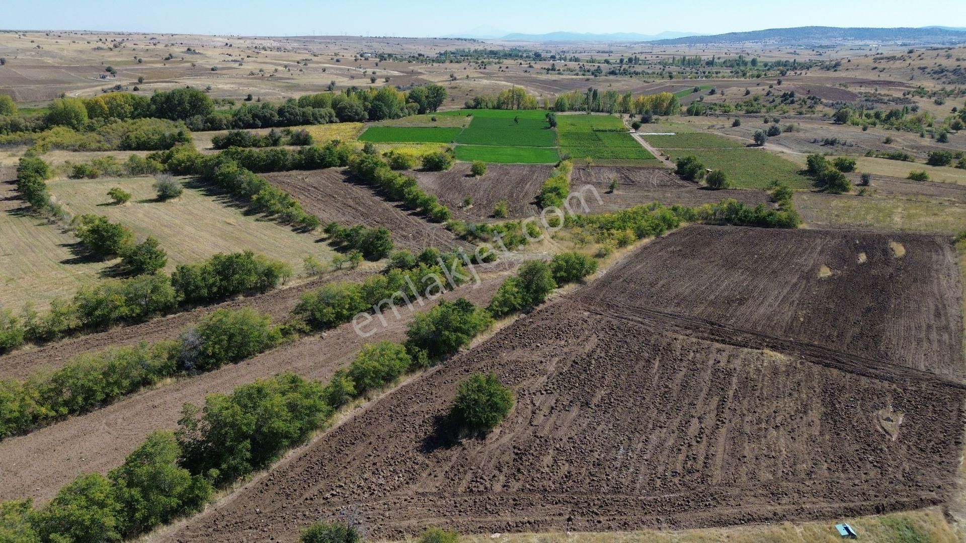 Konya / Akören / Tülce'de 1.992 M² Müstakil Bahçelik Fırsatı - Görsel 4