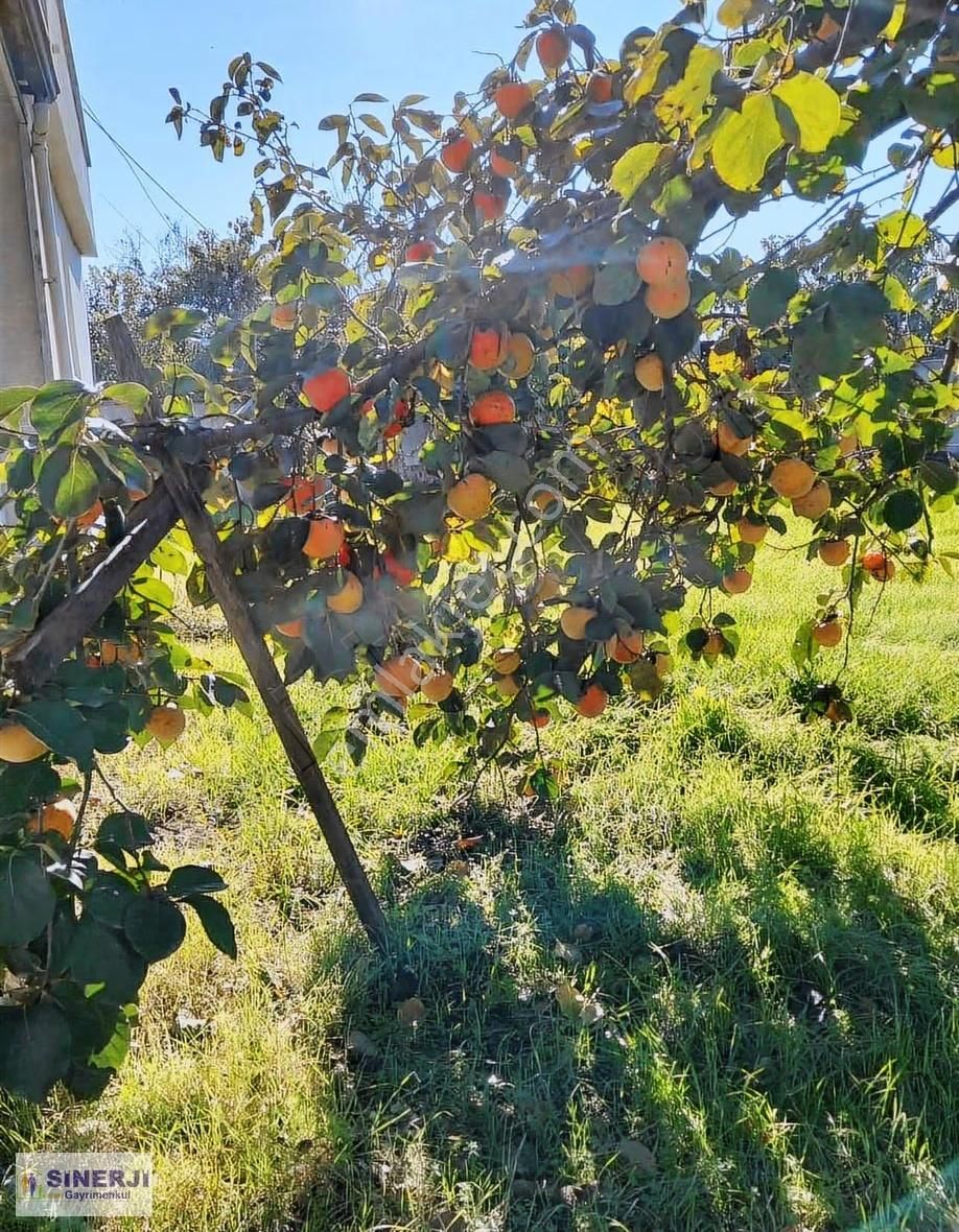 Mustafakemalpaşa Ormankadı Kiralık Özel Yapım Müstkil Villa - Görsel 10
