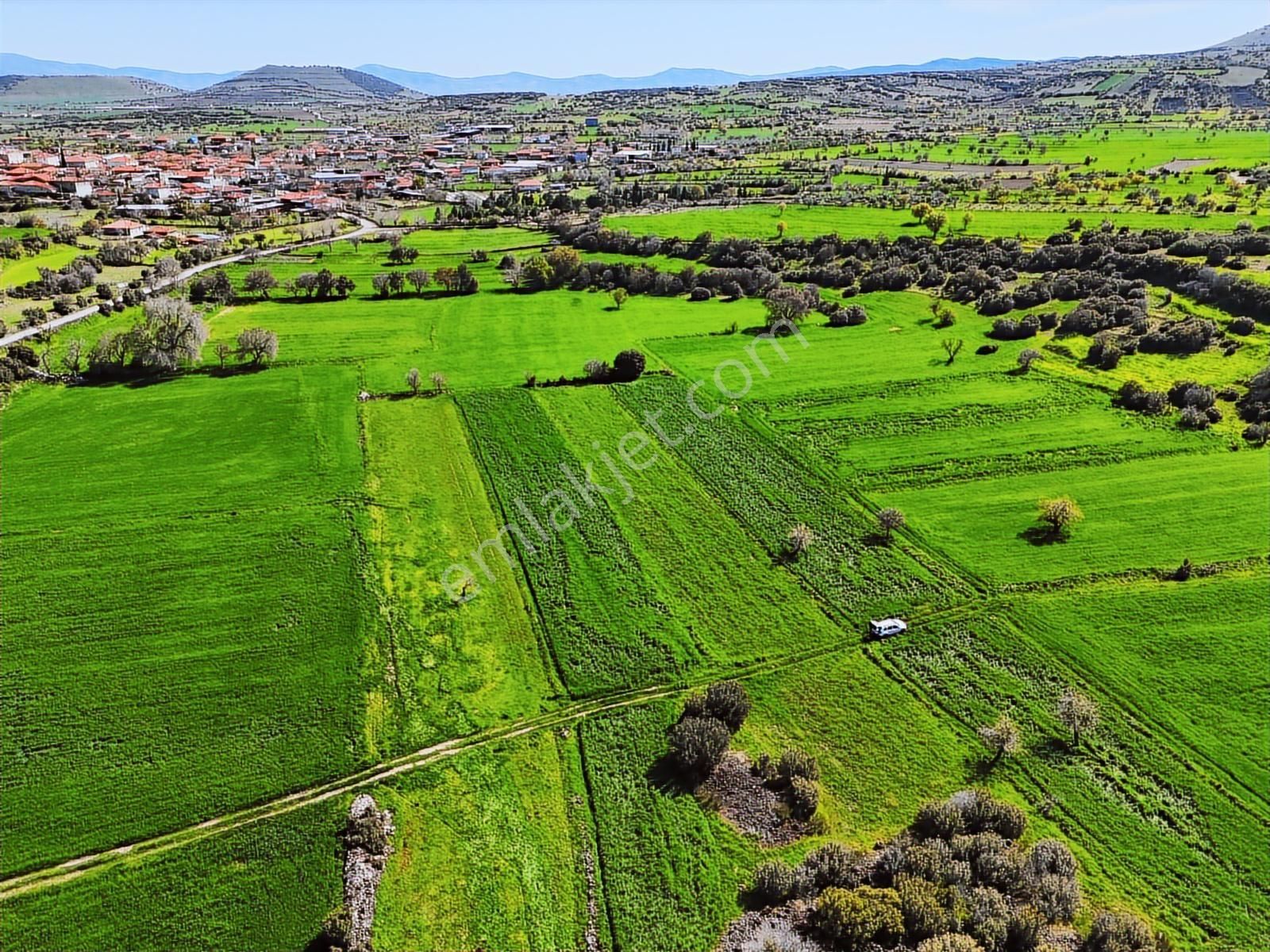 Kula'da Satılık 3000 M2 Düz Tarla, Hobi Bahçesi. - Görsel 7