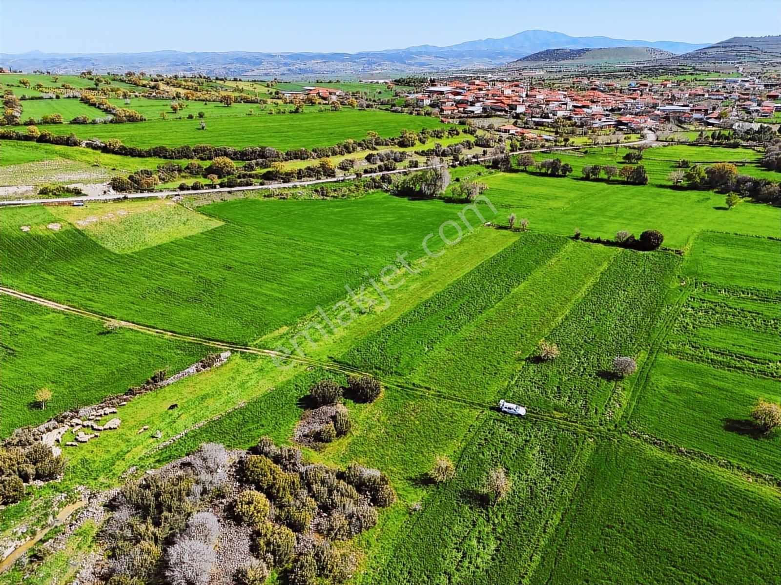 Kula'da Satılık 3000 M2 Düz Tarla, Hobi Bahçesi. - Görsel 6