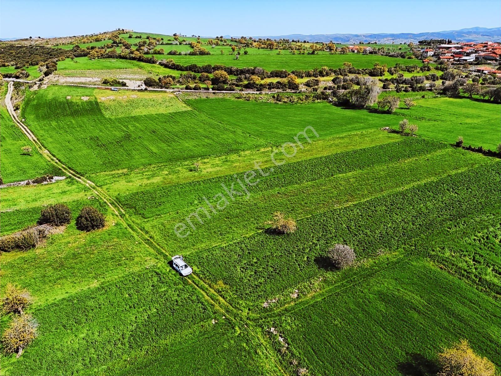 Kula'da Satılık 3000 M2 Düz Tarla, Hobi Bahçesi. - Görsel 3