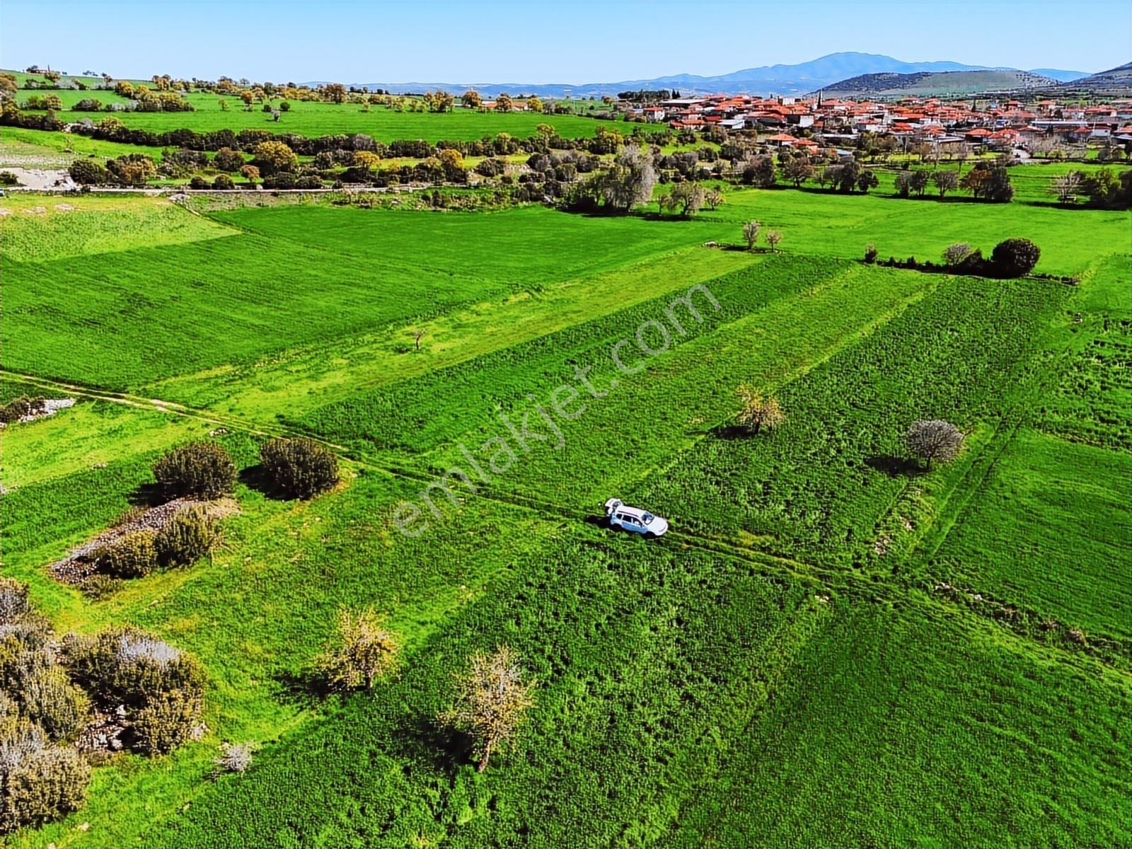 Kula'da Satılık 3000 M2 Düz Tarla, Hobi Bahçesi. - Görsel 15