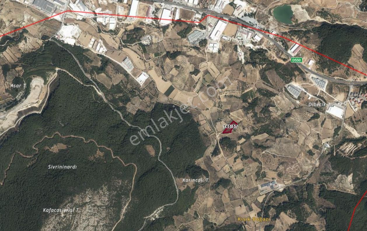 Muğla Menteşe Kafaca Köyünde Satılık 6.343 M2 Tek Tapu Tarla - Görsel 2