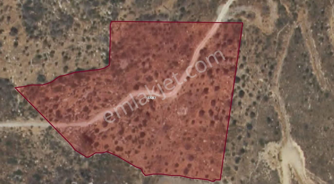 Muğla / Mılas / Bozalanda Satılık 14.400 M² Tarla