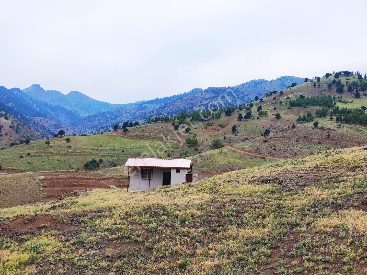 Kar Emlaktan Kamışlı Yaylasında İmara Uygun 1650 M2 Satılık Tarla - Görsel 6