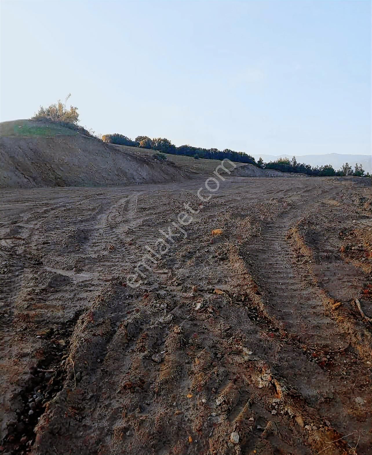 Yatırımlüx' Den 6.291 M2 Tarla - Görsel 3