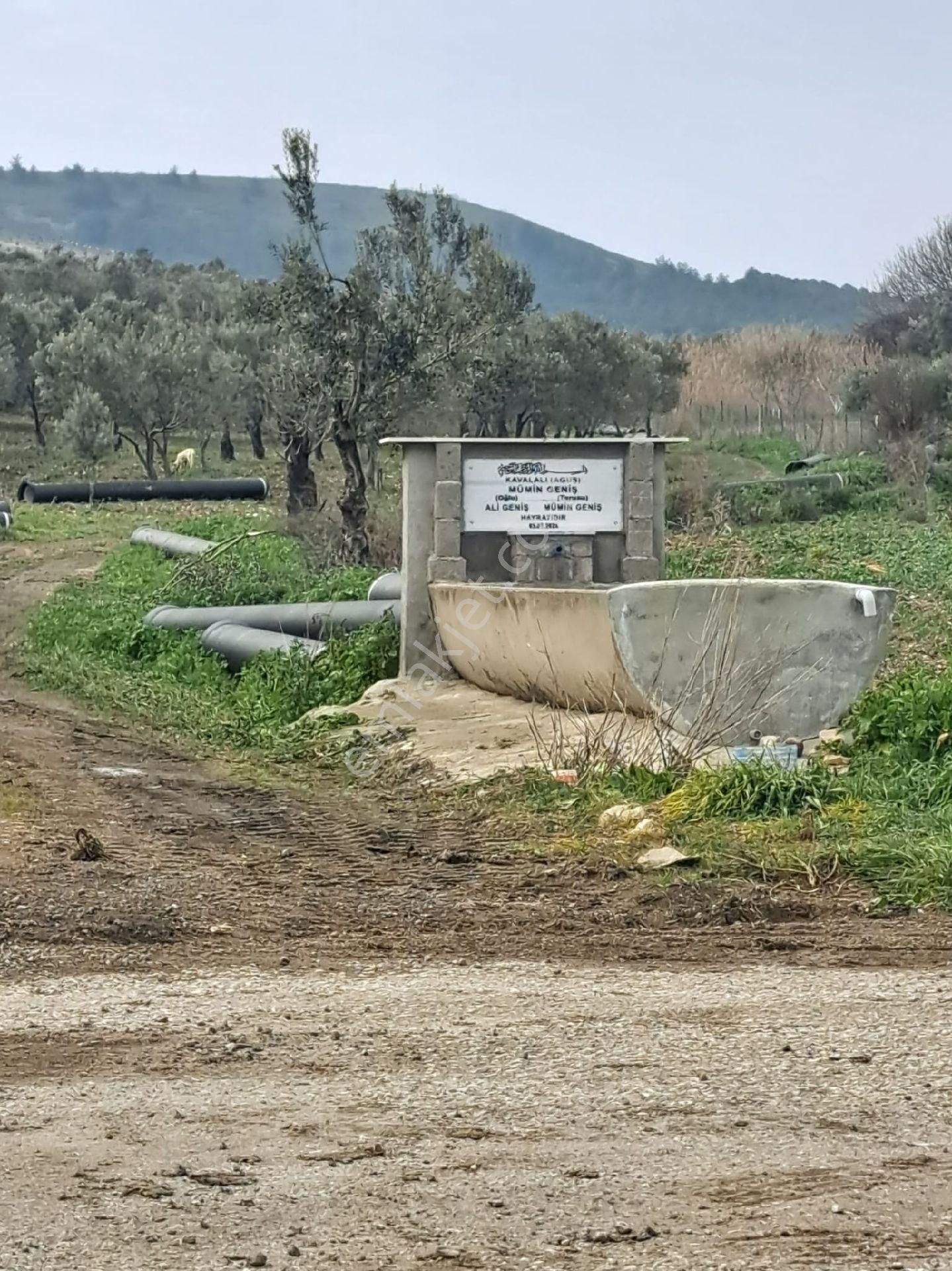 Foça Gerenköyde 883 M2 Bahçe Acil Satılıktır